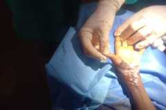 IMG-20250124-WA0003
